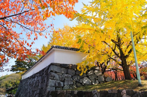 舞鶴公園オクトーバーフェスト2016