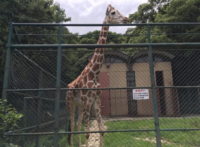 【土曜】夜の動植物園～福岡市～