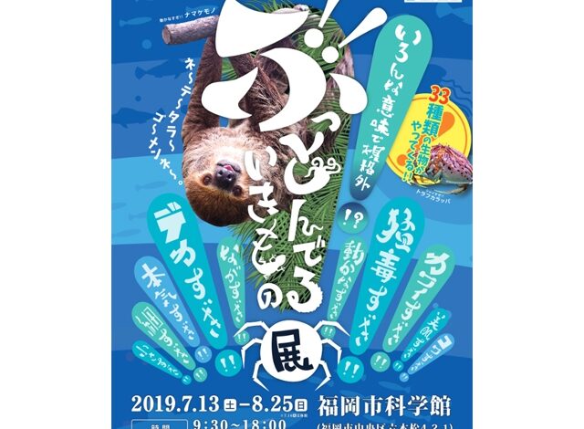 ぶっとんでる展　福岡市科学館