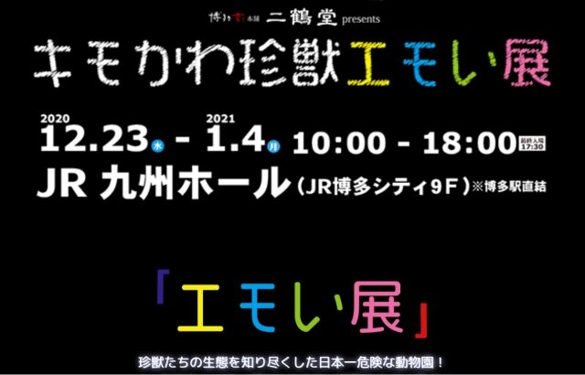 「キモかわ珍獣エモい展」が開催されます！！