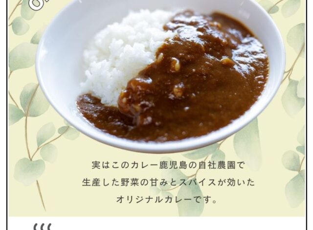 【朝食紹介】一日の始まりに「朝カレー」で元気チャージ