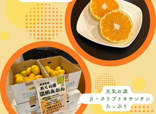 🍊鹿児島県あくね産温州みかん🍊