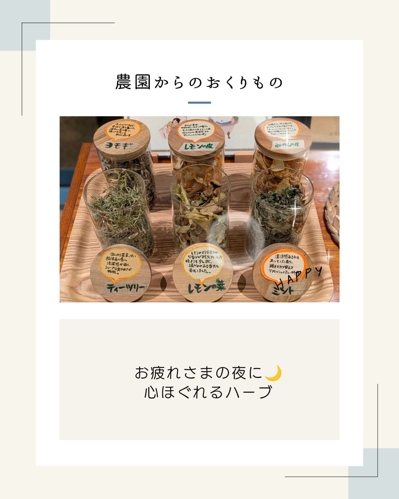 お疲れさまの夜に🌙心ほぐれるハーブでリトリート時間🌿