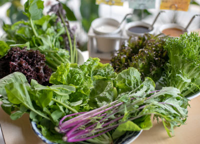 Farm-fresh vegetables